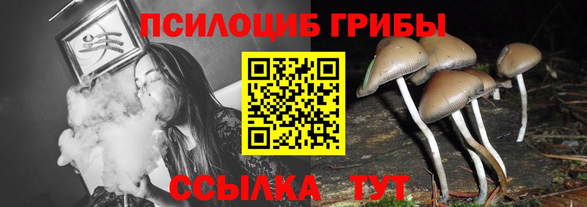 Галлюциногенные грибы прущие грибы Тихорецк