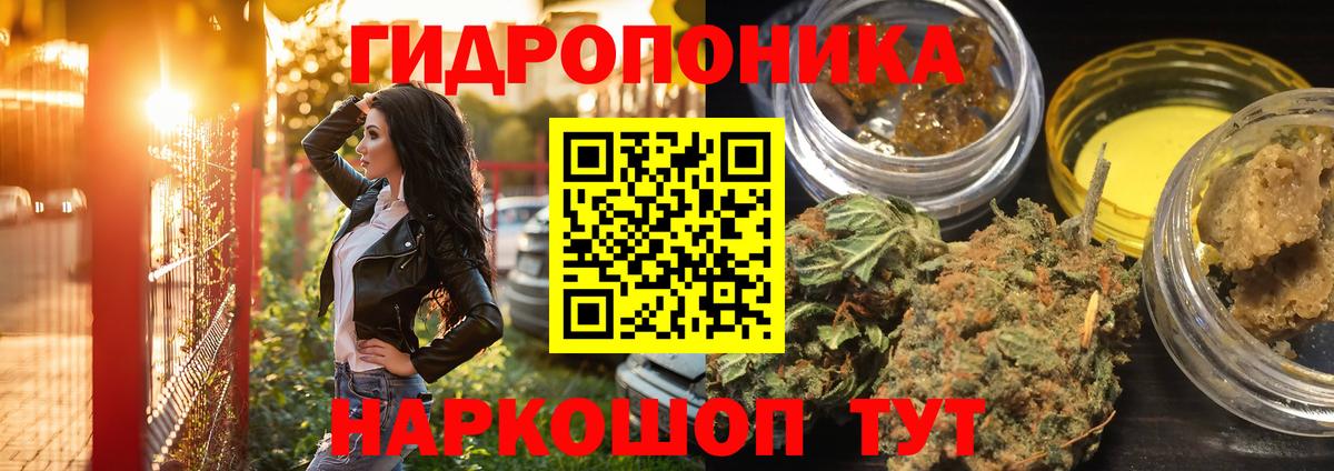 Конопля сатива  Вход с VPN  Канабис White Widow  Конопля ГИДРОПОН  Тихорецк 